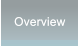 Overview Overview